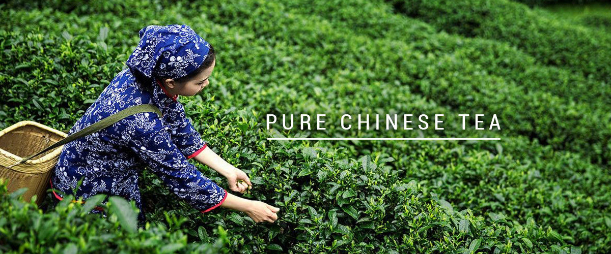 中国 最もよい 有機性 oolong の茶 販売